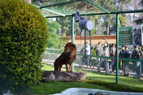 El Parque Ecológico “Zacango” es sede del Congreso Internacional de Promotores de Bienestar Animal