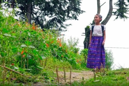 El programa Niñez Indígena ayuda a cumplir los sueños de estudiantes mexiquenses