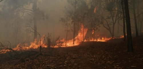 Continúan combatiendo incendio forestal en Valle de Bravo