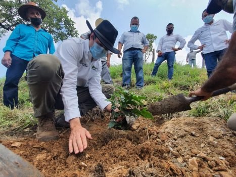 GEM, a través de PROBOSQUE, entrega apoyos agroforestales en el sur mexiquense