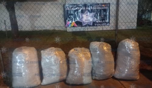 Aseguran 180 kilogramos de aparente marihuana en Calimaya