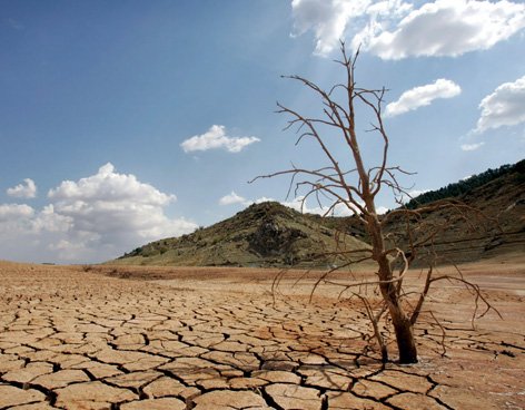 Fotografía de: diversidadambiental.org