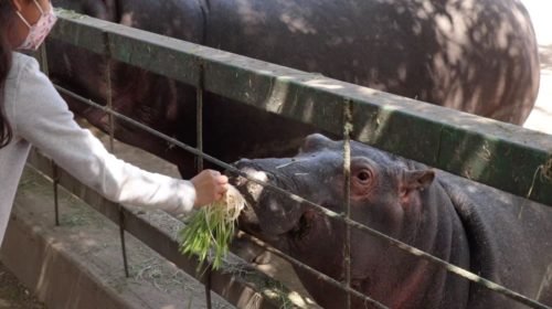 No te olvides de visitar el Parque Ecológico «Zacango»