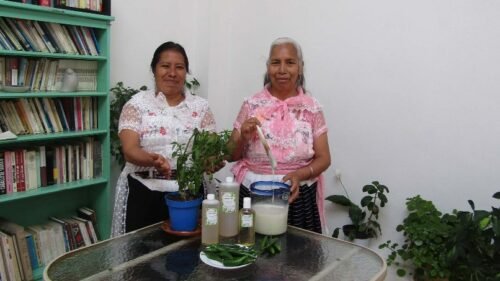 Elaboran productos con causa para rescatar la herbolaria medicinal