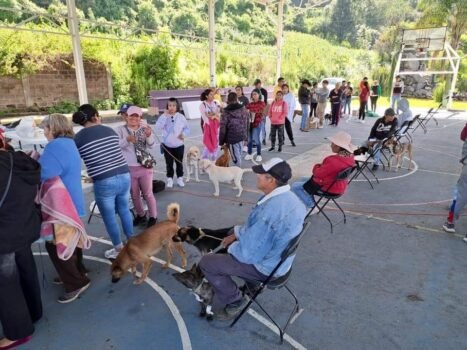 Exitosa jornada de esterilización canina y felina en Ecatzingo