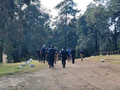 ALERTAN SOBRE PRESENCIA DE GRAN FELINO, EN ÁREA TERRITORIAL DEL PUEBLO DE SAN FRANCISCO ZENTLALPÁN, AMECAMECA