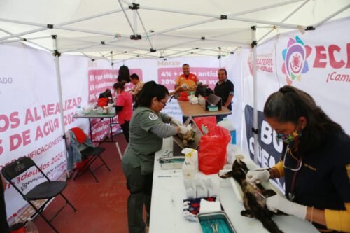 Inicia Jornadas Tonalli, para intervenir zonas de alta incidencia en Ecatepec