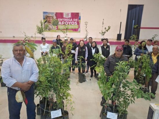 Amecameca, Ivette Topete García, apoyo al campo, sector agropecuario, árboles frutales, botes lecheros, aspersores, capacitación agrícola, INIFAP, saneamiento de árboles, desarrollo rural