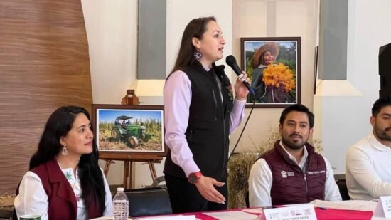 Amecameca, Festival de las Luciérnagas, Ivette Topete García, Nelly Carrasco, Turismo Estado de México, Ecoturismo, Avistamiento de Luciérnagas, Preservación del Hábitat, Turismo Sostenible, Cultura, Medio Ambiente