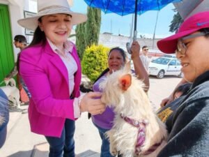 Amecameca, Zoyatzingo, esterilización canina, esterilización felina, bienestar animal, tenencia responsable, Ivette Topete García, sobrepoblación animal, salud pública