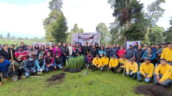 Amecameca Concluye Exitosa Jornada de Reforestación en San Pedro Nexapa