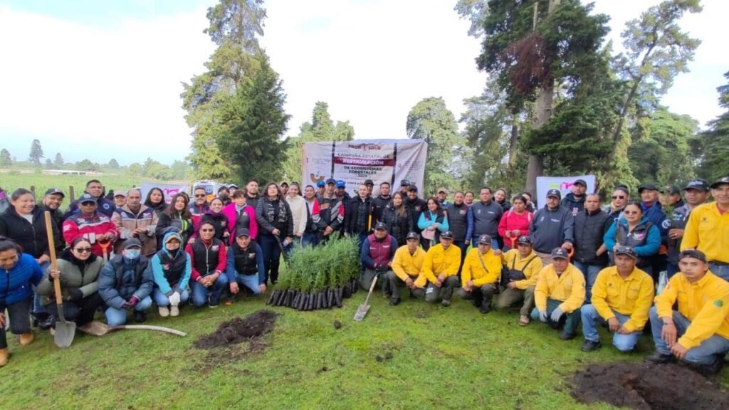 Amecameca Concluye Exitosa Jornada de Reforestación en San Pedro Nexapa