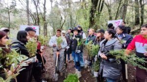 Concluye exitosa jornada de reforestación en Santa Isabel Chalma