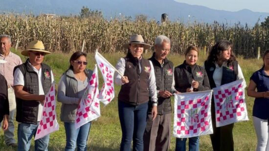 Alcaldesa Ivette Topete Inicia Construcción de Cancha de Frontón y Básquetbol en Zoyatzingo