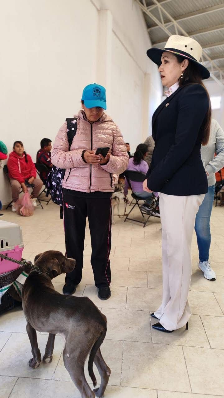 LA SALUD DE LAS MASCOTAS ES PRIORIDAD: ALCALDESA IVETTE TOPETE IMPULSA EXITOSA JORNADA DE ESTERILIZACIÓN EN SAN DIEGO HUEHUECALCO