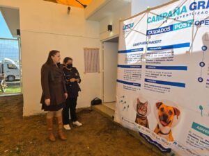 Amecameca alcanza récord histórico con 1,964 esterilizaciones de mascotas durante 2025