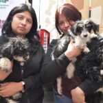 Gobierno del Estado de México llevará servicios veterinarios gratuitos a La Paz con jornada de la Estrategia CERA