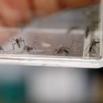 Gobierno del Edoméx llama a prevenir enfermedades por lluvias y eliminar criaderos de mosquitos