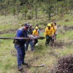 Gobierno del EdoMéx conmemora el Día Estatal de la Reforestación con acciones para recuperar bosques del sur de la entidad