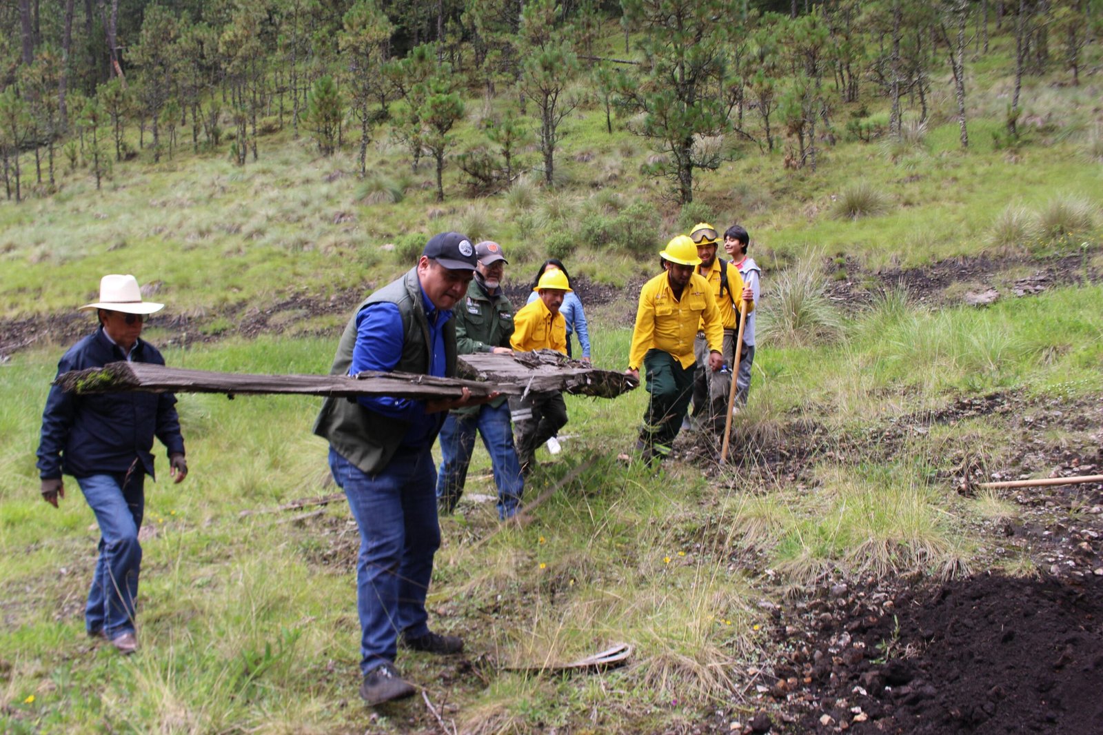 Gobierno del EdoMéx conmemora el Día Estatal de la Reforestación con acciones para recuperar bosques del sur de la entidad