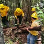 Gobierno del EdoMéx inicia trabajos preventivos contra incendios forestales en nueve regiones