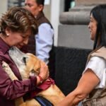 EdoMéx realiza más de 185 mil esterilizaciones de perros y gatos en un año